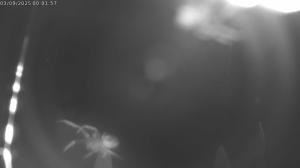 Blick Richtung Staff 2025-09-03 00:00