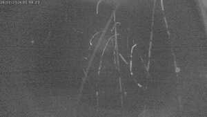 Blick Richtung Staff 2026-02-16 01:00