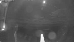 Blick Richtung Staff 2026-07-06 03:00
