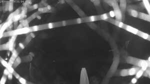 Blick Richtung Staff 2026-08-20 21:00